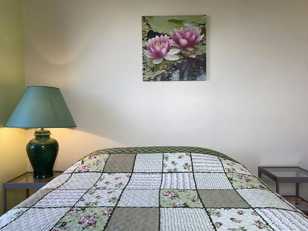 803 - Magnifique Maison Moderne Situee A Erquy Disposant D'Une Piscine Privative